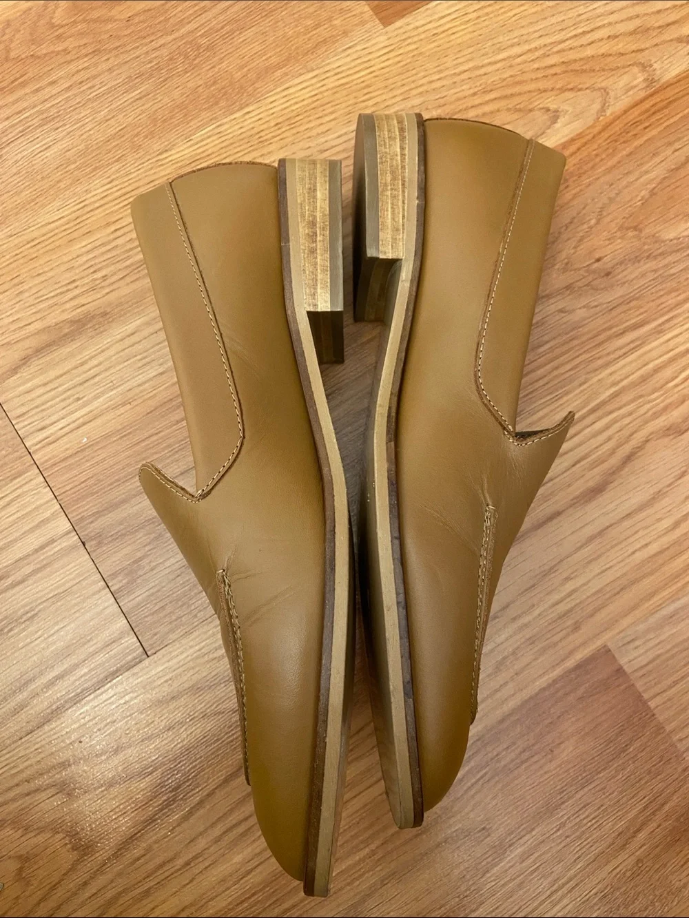Everlane new classic